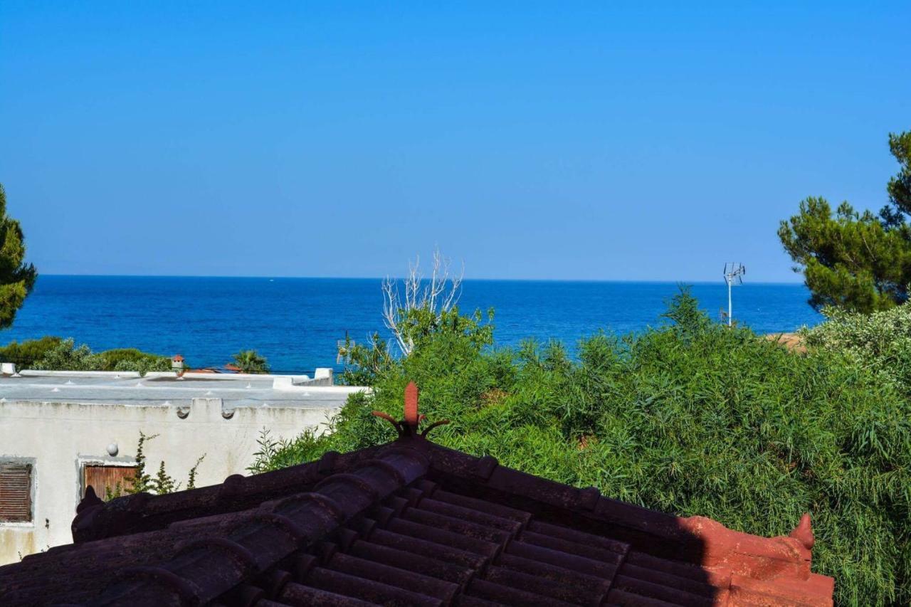 Sofia'S Seaview Villa Near Airport And Beach Artemida  Dış mekan fotoğraf