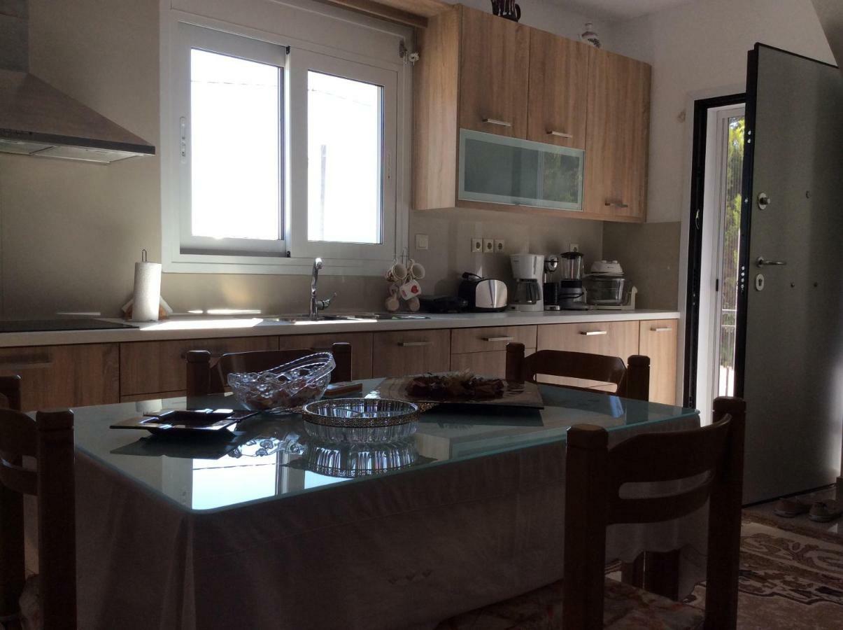 Sofia'S Seaview Villa Near Airport And Beach Artemida  Dış mekan fotoğraf