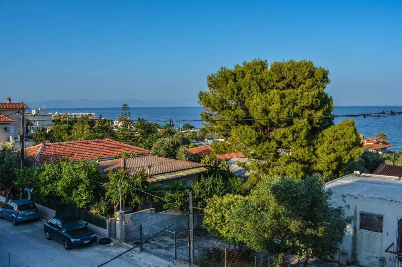 Sofia'S Seaview Villa Near Airport And Beach Artemida  Dış mekan fotoğraf